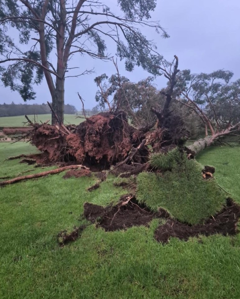 Storm damage to a Scottish golf course.