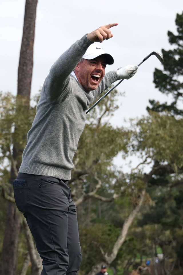 McIlroy also recorded a hole-in-one - his second on the PGA Tour