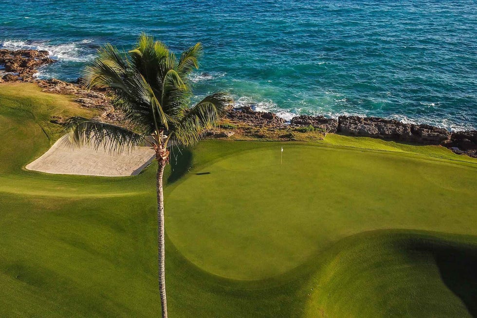golf course beside ocean with palm tree and sand trap