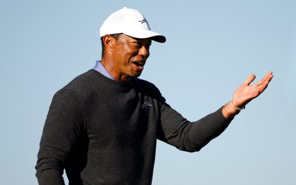 Woods is the most famous golfer on the planet despite his limited time on the course