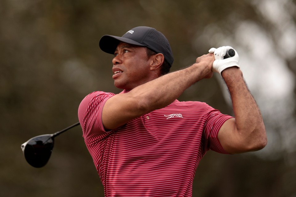 Tiger Woods playing golf.