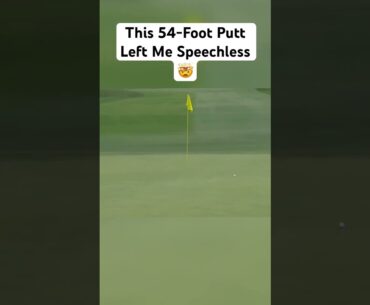 Andrew Novak Drains an Impossible Putt. Ice in his Veins ❄️ #golf #golfswing #pgatour