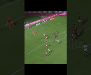 Ryan Francisco gelado gelado#ryanfransisco#saopaulofc#palmer