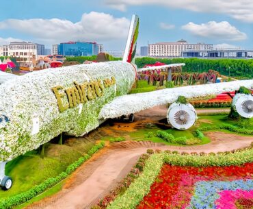 Dubai Miracle Garden 2025 Tour in 4K | World's Largest Natural Flower Garden (+Butterfly Garden)