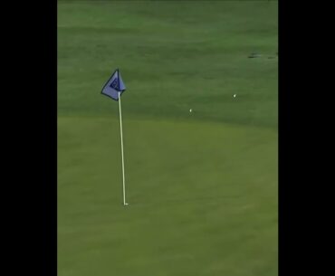 Max Greyserman sticks it! #golfer #sports #golf #pga #pgatour #golflife #golfing #golfswing