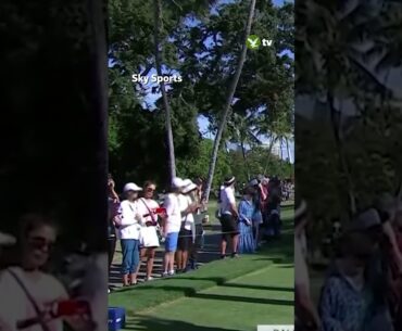Golfer hits spectator with driver after launching it into crowd