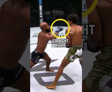 "Mighty Mouse" reigns supreme 👑 What’s on the horizon for Demetrious Johnson?