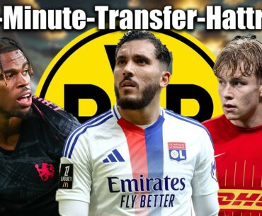 Cherki, Chukwuemeka & Svensson! ESKALIERT der BVB im Transfer-Endspurt?!