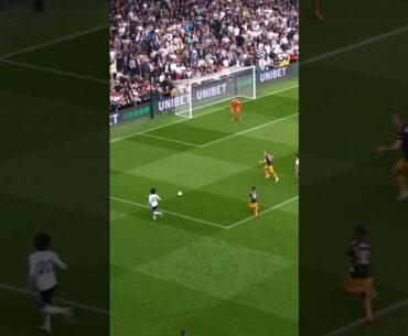 Harry Wilson ROCKET for Fulham! 🚀