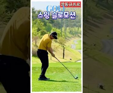 장신의 장동규프로, 스윙 슬로모션