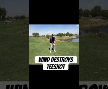 Wind Destroys Teeshot for Shooter McGavin! #golfshots #golf @TheDanPatrickShow