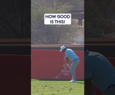Rate this HOLE-IN-ONE 🤩