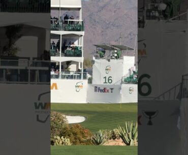 Would you expect anything else from Scottie Scheffler on the 16th hole? #TaylorMade #shorts