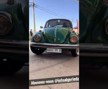 Volkswagen DZ : une belle coccinelle cox restauration fi oran wahran collector collection vintage