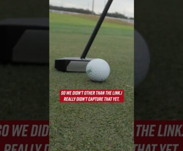 OZ.1 or OZ.1i?? #golf #putting