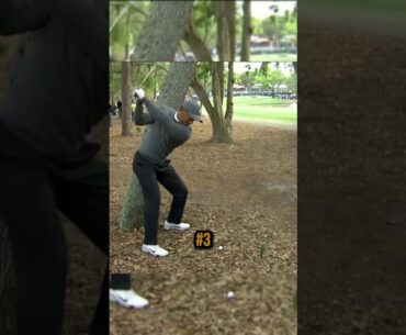 Top 12 Tiger Woods escape shots on The PGA Tour | Part 2