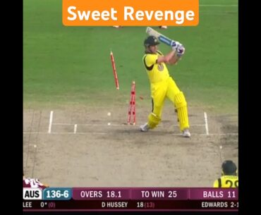 The Revenge Story Of Brett Lee Vs Fidel Edwards - Golden Duck