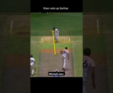 Mitchell Starc set up to take wicket #cricket #shorts #shortsviral #shortsvideo