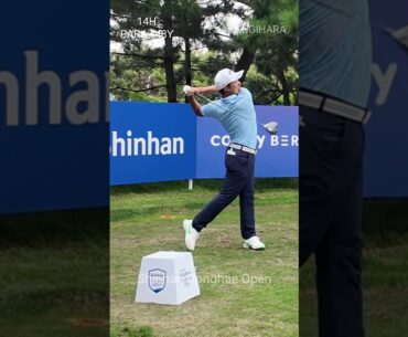 Taiga SUGIHARA(JAPAN) , 절도있는 동작으로 하는 드라이버 티샷   #golf #kpga #골프 #golfswing #TaigaSUGIHARA