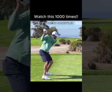 #golf #golfing #golfswing #golftips #golfshorts