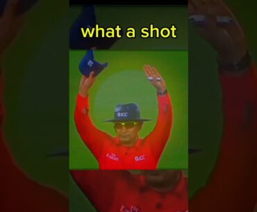 Maximum shot #cricket #shorts