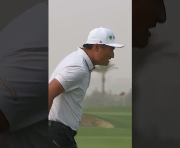 Albatross…denied, HOW? 😮