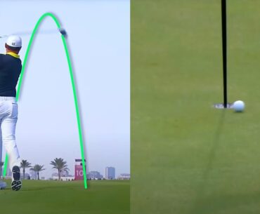 Weird and Wonderful - Qatar Moments
