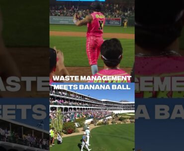 HOLE IN ONE at Waste Management! #PGA #golf #proplayer #partyanimals