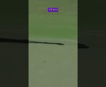 Nick Taylor’s Perfect Short-Range Hole-in-One | Sony Open 2025 #pgatour #shots #golfshots
