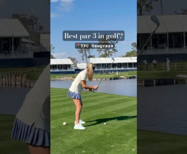 Best par 3 in golf??