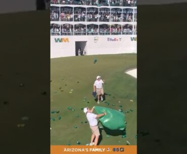 A thunderous reaction to Emiliano Grillo's hole in one on 16! #shorts #wmphoenixopen #arizona