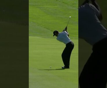 Tiger Woods at his BEST! 🙌