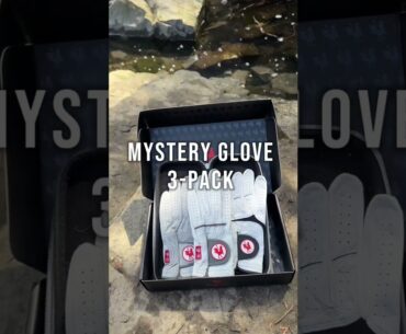 MYSTERY GLOVES - 3 Pack of Cabretta Leather Golf Gloves At A Deep Discount