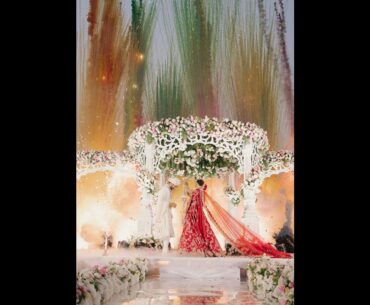 Renuka and Vivek's Haldi and Wedding at Oxford Golf Resort, Pune