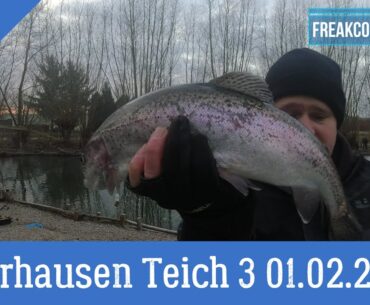 #129 Herrhausen Teich 3 01.02.2025 mit #angeln_mit_links