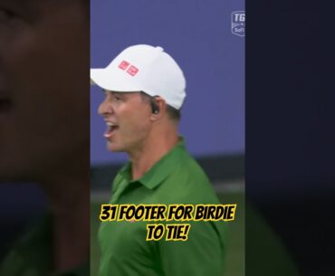 TGL: Adam Scott's 31 Footer for Birdie to Tie! #golf #tgl #shorts
