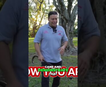 Master Self-Defense: Zero Contact Techniques with a Cane
