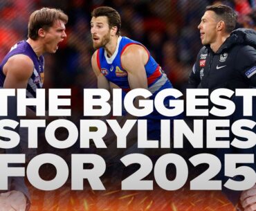 Which list does Kingy rate as the BEST in the competition? - SEN