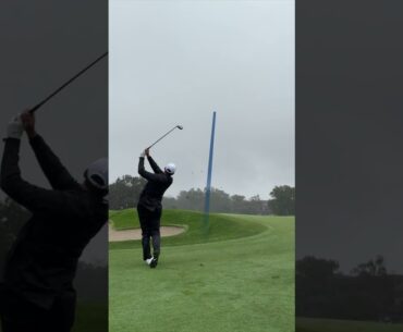 Scottie Scheffler's New 7-Wood