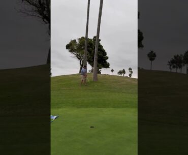 Yardy know this up and down is a lock… #slightlydialed #golf