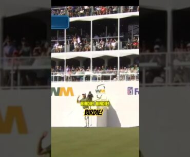 PGA Tour: 3-Peat Birdies on 16! A Sign of Tomorrow's Outcome??? #golf #pgatour #shorts