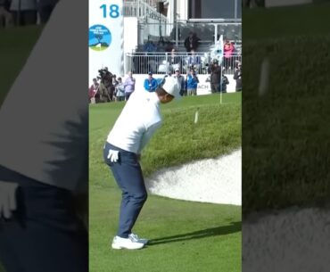 임팩트 손목 고정 I 브랜든 우(Brandon Wu)