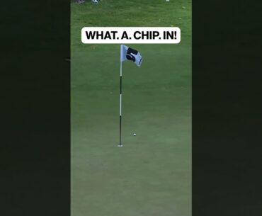 🚨 WHAT. A. CHIP. IN by Lucas Herbert!! 🤯🙌 #livgolf #golf #tigerwoods #liv #golfers