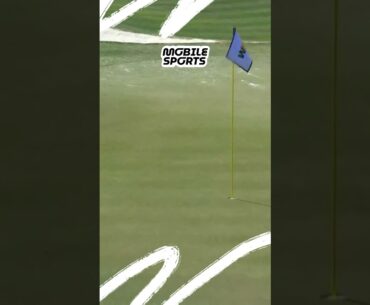 IMPRESIONANTE HOYO en UNO de EMILIANO GRILLO #golf #grillo #argentina