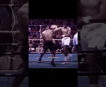 Mike Tyson wasn’t playing around ☠️
