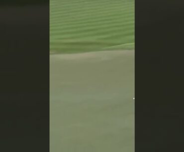 Laurie Canter Greenside Bunker Shot down the line 2025 #golf #golfswing #dpworldtour