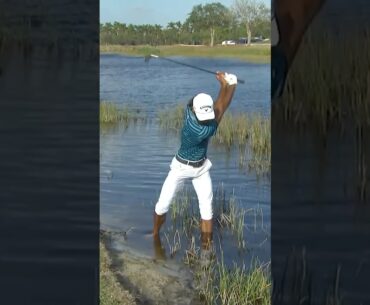 FROM THE WATER 😳