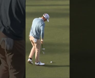 Matthew Riedel earns a PGA Tour card 🔥
