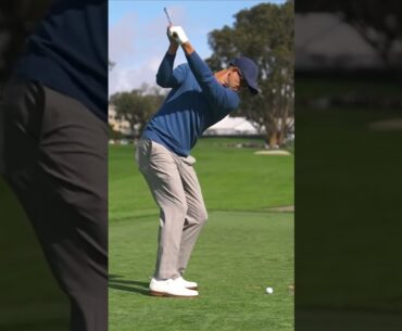 PGA 투어에서 가장 이상적인 스윙 I 교과서적 스윙 I 아담 스콧(Adam Scott)
