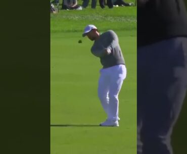 Patrick Cantlay 80 yard Shot 2025 #golfswing #pgatour #pga #golf #patrickcantlay